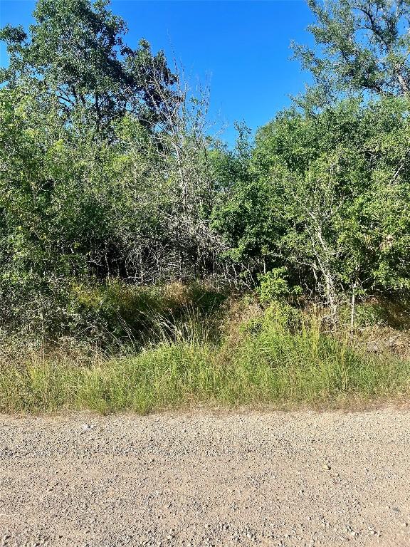 179 Helemano Dr, Bastrop, TX 78602