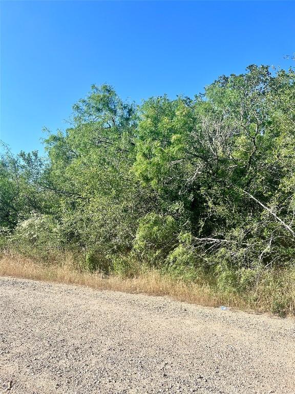 179 Helemano Dr, Bastrop, TX 78602