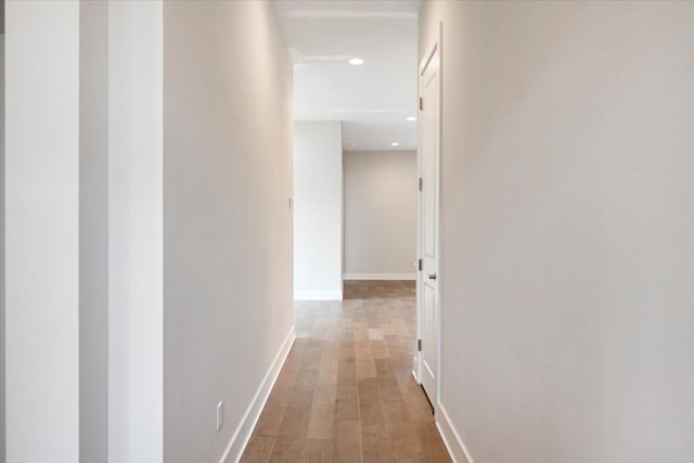 hall featuring wood-type flooring