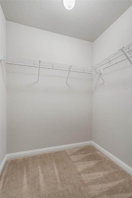 walk in closet featuring carpet