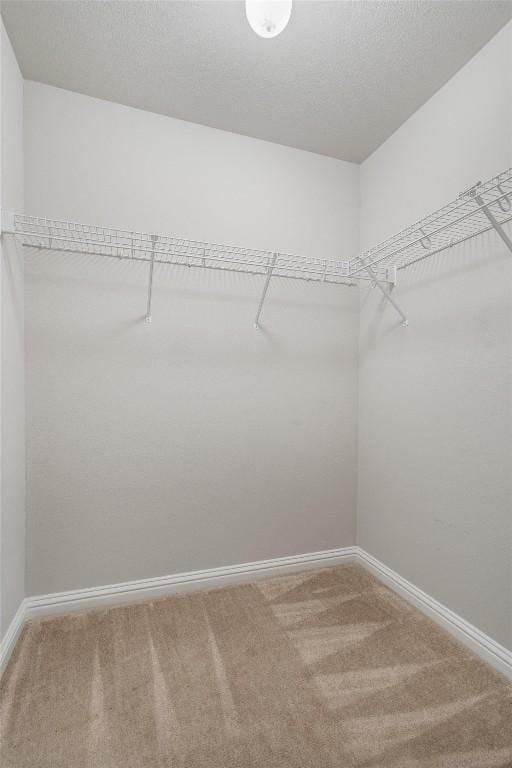 1102 Winding Creek Pl, Round Rock, TX 78665 - spacious closet featuring light carpet