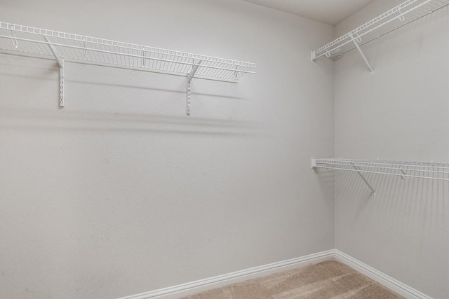 walk in closet featuring carpet flooring