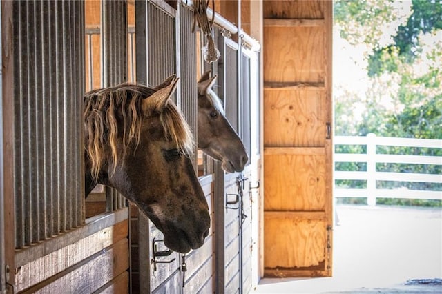 view of horse barn