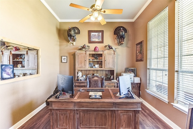 office space featuring dark wood-type flooring, ceiling fan, and ornamental molding