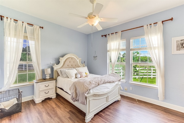 bedroom with ceiling fan, dark wood-type flooring, and multiple windows