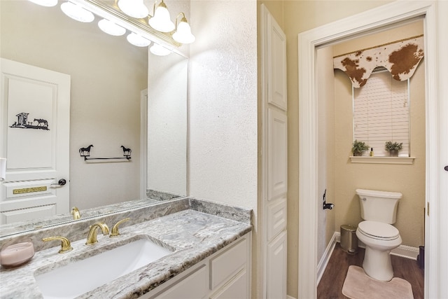 bathroom with toilet, vanity, and wood-type flooring