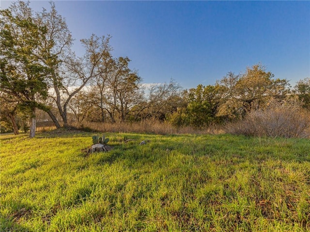 16009 Chateau Ave, Austin, TX 78734