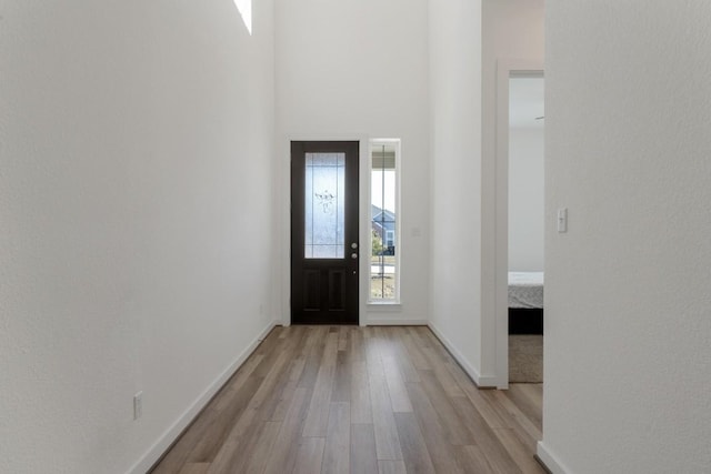 entrance foyer with a towering ceiling and light hardwood / wood-style floors