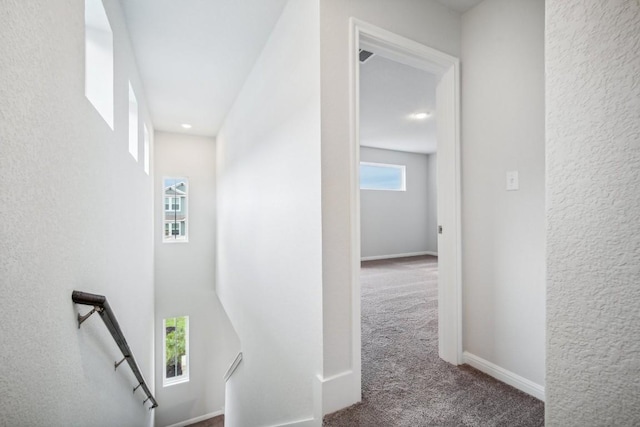 corridor with carpet floors