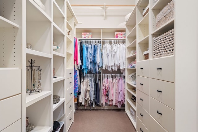 walk in closet featuring dark colored carpet