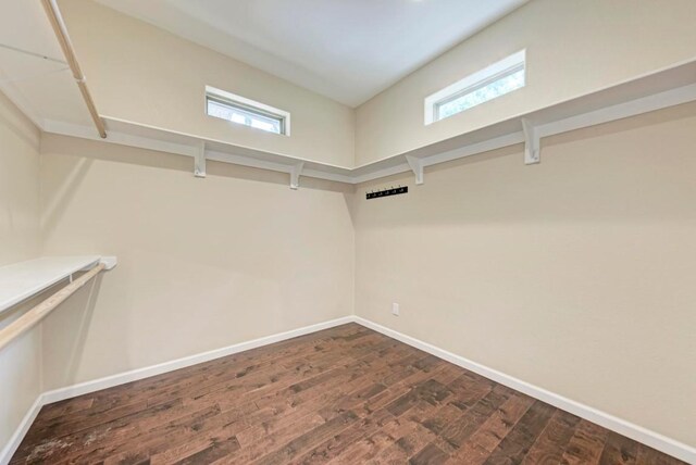 walk in closet featuring dark hardwood / wood-style flooring