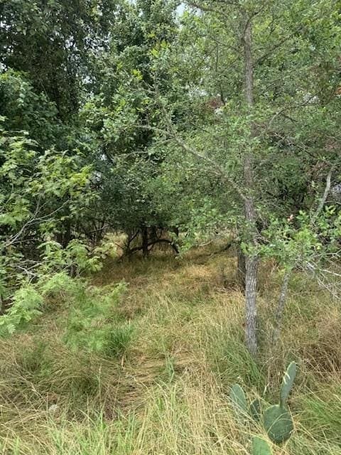 113 E Keomuku Ln, Bastrop TX, 78602 land for sale