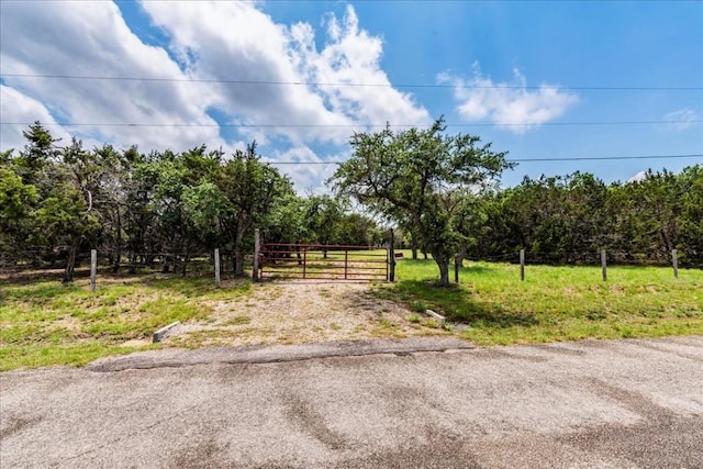 901 Todo Ln, Driftwood, TX 78619 - photo 2