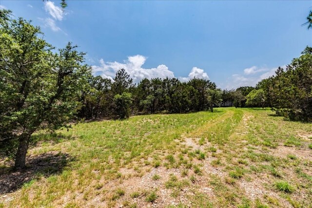 901 Todo Ln, Driftwood, TX 78619 - photo 5