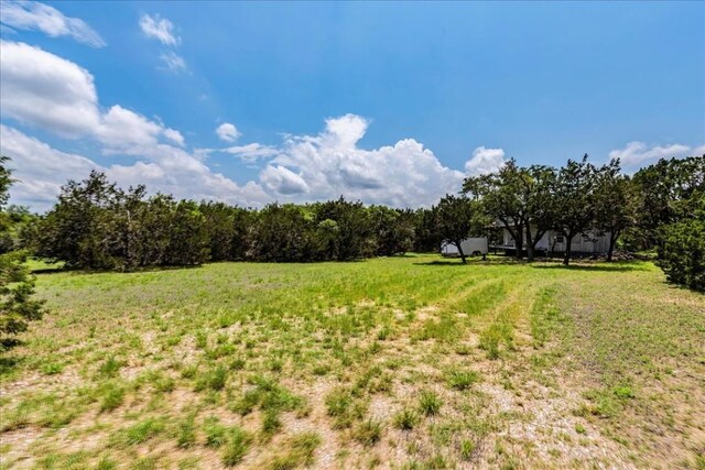 901 Todo Ln, Driftwood, TX 78619 - photo 6