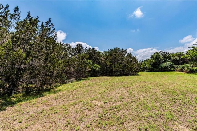 901 Todo Ln, Driftwood, TX 78619 - photo 8