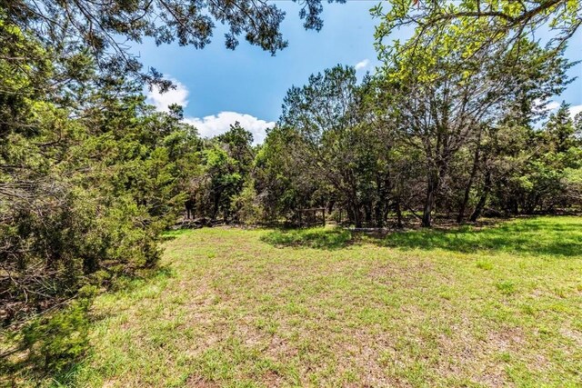 901 Todo Ln, Driftwood, TX 78619 - photo 9