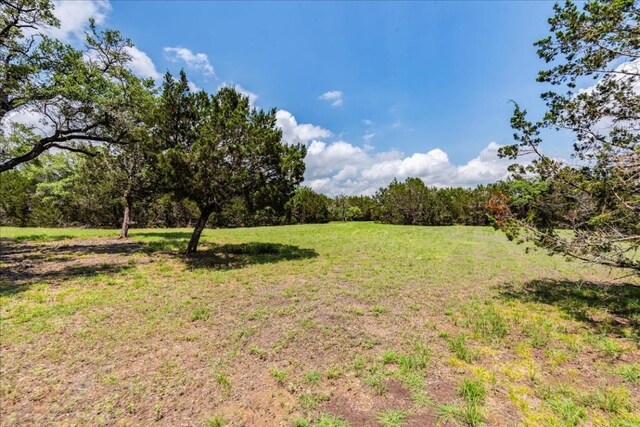 901 Todo Ln, Driftwood, TX 78619 - photo 10