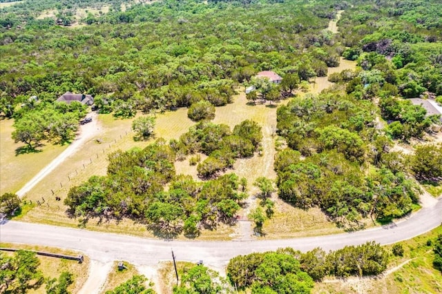 901 Todo Ln, Driftwood, TX 78619 - photo 11