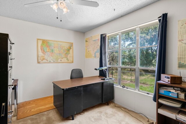 carpeted office space featuring plenty of natural light, ceiling fan, and a textured ceiling