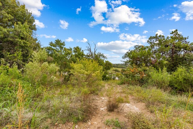 2101 Bighorn, Leander, TX 78641 - photo 17