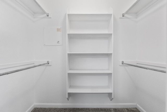 spacious closet featuring carpet