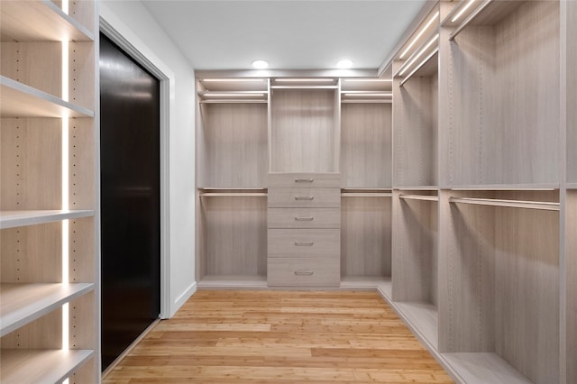 spacious closet featuring light wood-type flooring