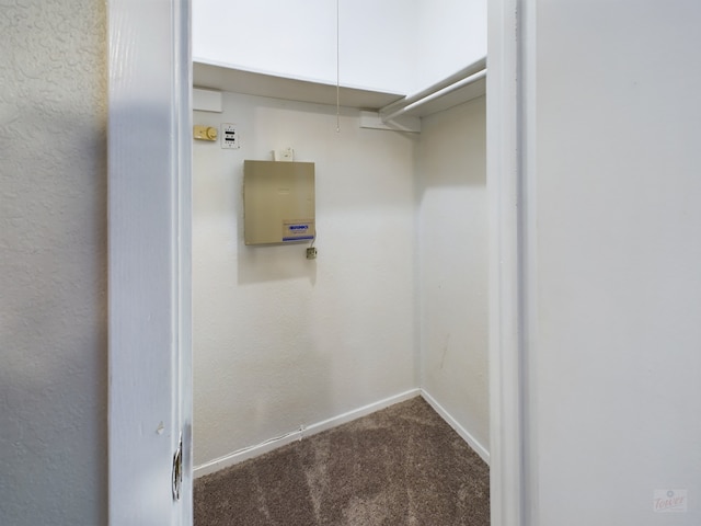 spacious closet featuring carpet floors