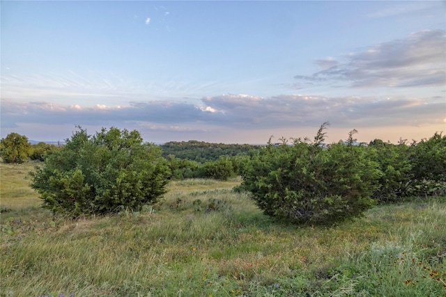 Listing photo 3 for LOT61 Canyon Vw, Burnet TX 78611