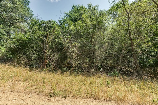 Listing photo 2 for LOT650 Kaukonahua Ln, Bastrop TX 78602