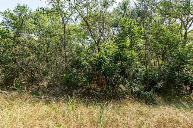 Listing photo 3 for LOT650 Kaukonahua Ln, Bastrop TX 78602