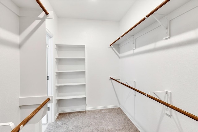 walk in closet with light carpet