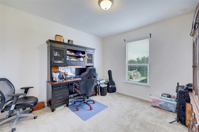 office space featuring light carpet