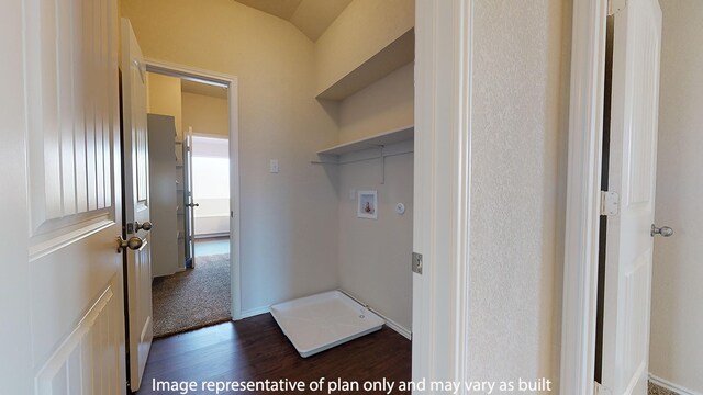 interior space featuring dark hardwood / wood-style flooring