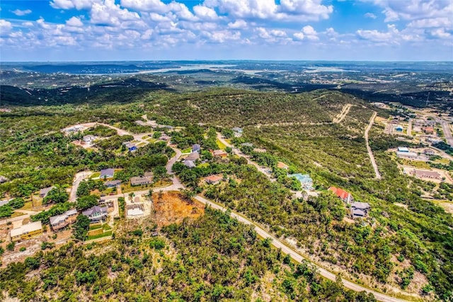 8224 Bar K Ranch Rd, Lago Vista, TX 78645 - photo 17