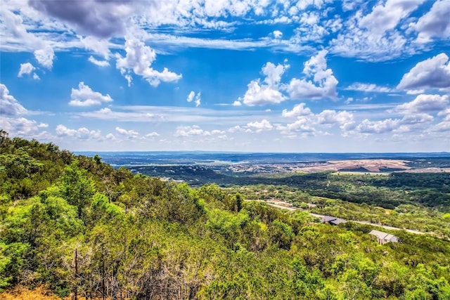 8224 Bar K Ranch Rd, Lago Vista, TX 78645 - photo 8