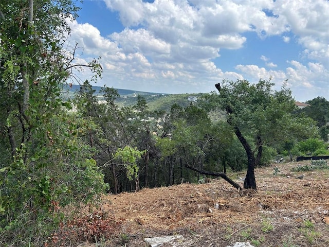 8224 Bar K Ranch Rd, Lago Vista, TX 78645 - photo 22
