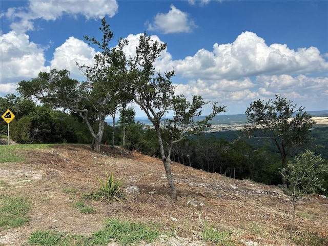 8224 Bar K Ranch Rd, Lago Vista, TX 78645 - photo 15
