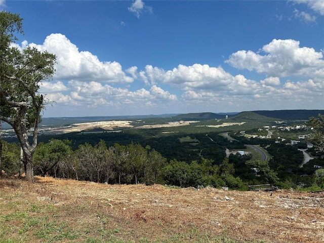 8224 Bar K Ranch Rd, Lago Vista, TX 78645 - photo 5