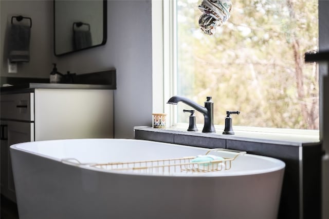 bathroom with a washtub and vanity