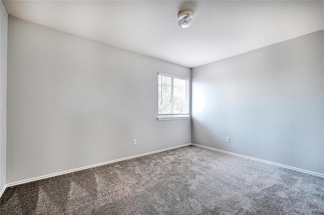 unfurnished room featuring carpet floors