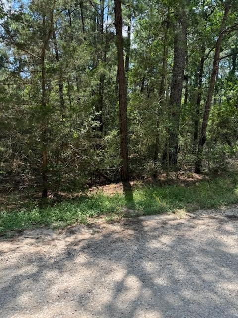 LOT250 Hekili Dr, Bastrop TX, 78602 land for sale