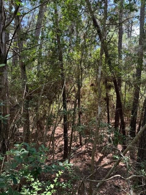 Listing photo 2 for LOT250 Hekili Dr, Bastrop TX 78602