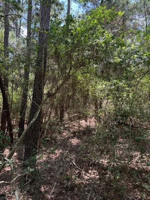 Listing photo 3 for LOT250 Hekili Dr, Bastrop TX 78602