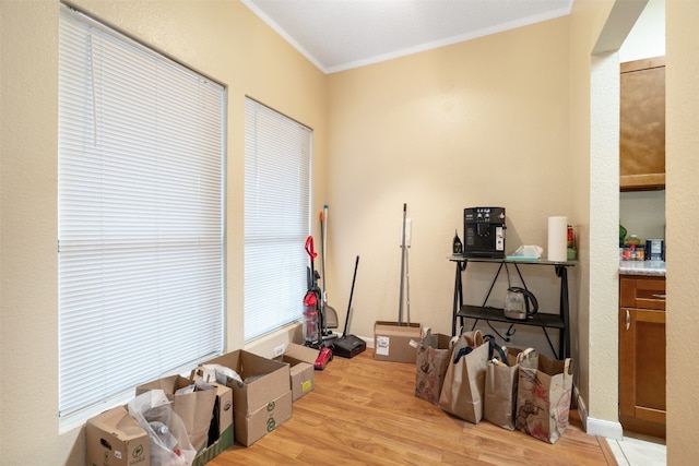 interior space with light hardwood / wood-style floors and crown molding