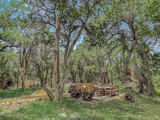 view of yard with a patio