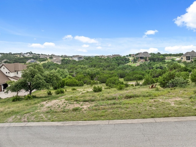 974 Bluff Woods Dr, Driftwood, TX 78619