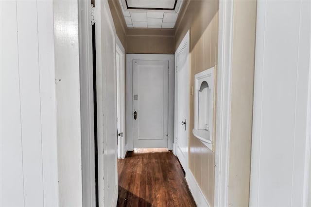 corridor featuring wood walls and dark hardwood / wood-style flooring