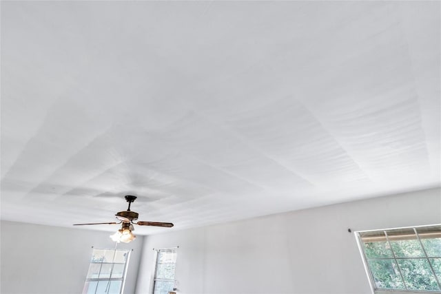 room details with ceiling fan