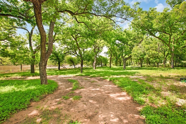 view of property's community